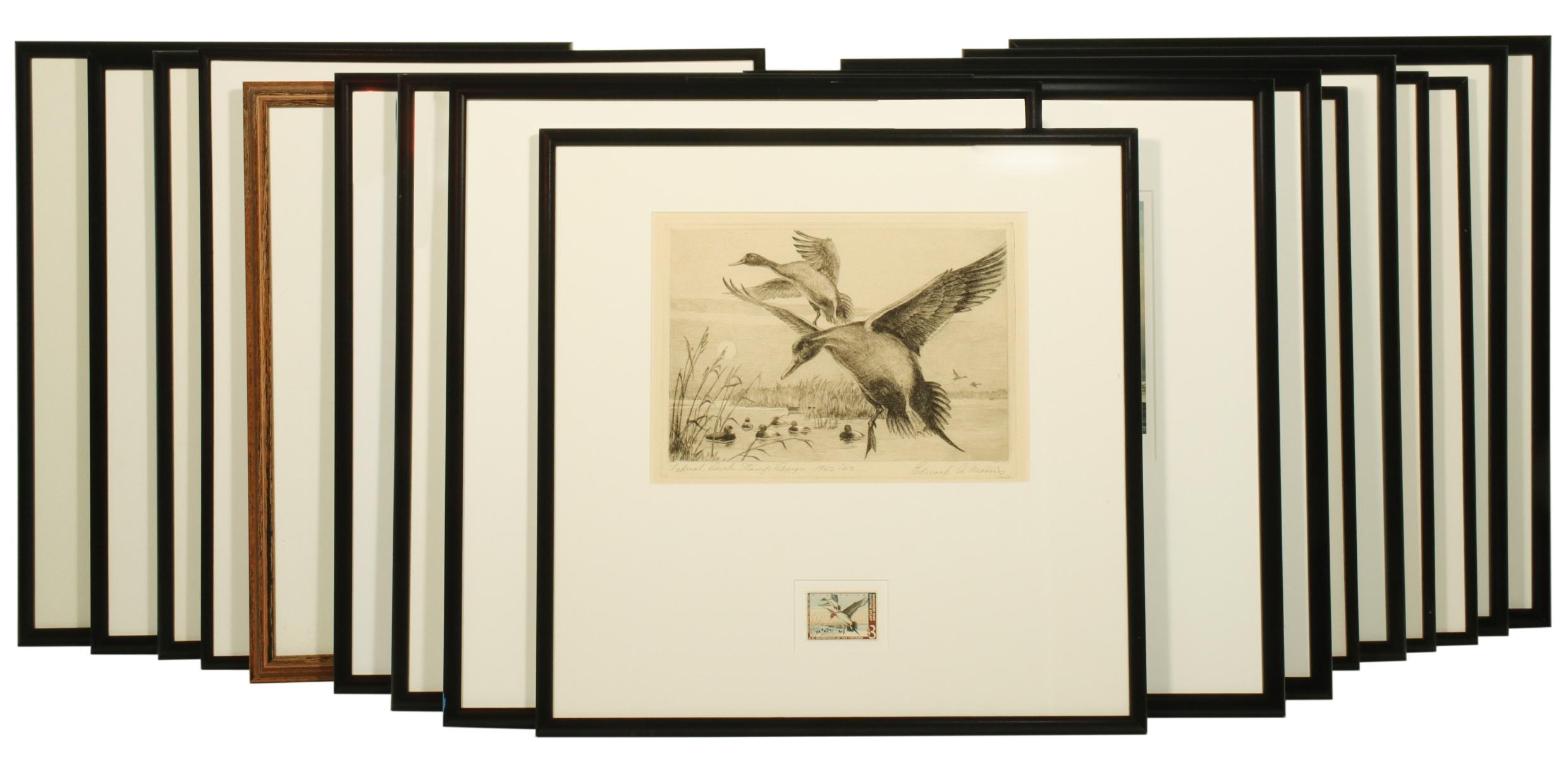 A LARGE COLLECTION OF FEDERAL DUCK STAMPS AND PRINTS