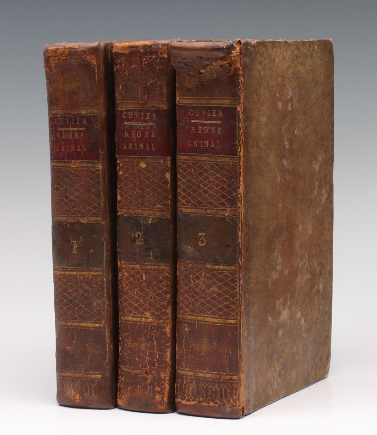 CUVIER, GEORGES, THE ANIMAL KINGDOM, THREE VOLS 1817